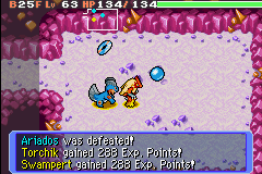 screenshots/Game Boy Advance/Pokemon Mystery Dungeon - Red - Blue - Rescue Team/Pokemon Mystery Dungeon - Red Rescue Team (Eng) 139.png